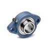 Flange Bearing, 2-Bolt, Ball, 1" Bore