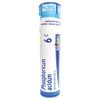 Boiron Phosphoricum Acidum 6C, 80 Pellets, Homeopathic Medicine for Concentration