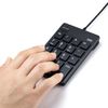 Sanwa Supply NT-18CUBK Wired USB Type-C Connection Isolation Key Black
