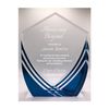 Personalized Award Above and Beyond, Customizable Solid Acrylic Trophy Shield Shaped, Business Awards with Custom Text