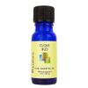 Clove Bud ~ 10ml (1/3 oz)