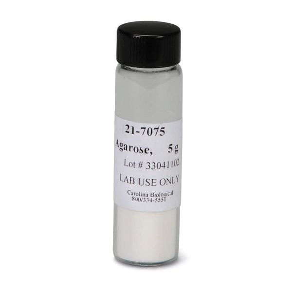 Agarose, 5 Grams, Electrophoresis Grade, Low Eeo