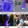 12X Ultraviolet UV 51 LED Flashlight Mini Powerful Blacklight Pet Urine Detector