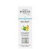 MAISON BERGER Radiant Bergamot Scented Bouquet