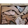 Golf Fanatic Puzzle - Artistic and challenging