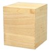 SK 11000 Bone Box, Paulownia Box, For 6