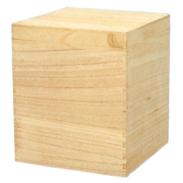 SK 11000 Bone Box, Paulownia Box, For 6