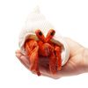 Folkmanis Mini Hermit Crab Finger Puppet, Orange; Cream