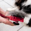 Fackelmann 2-in-1 Dog/Cat Brush, 7 x 4-Inch, Red/Black