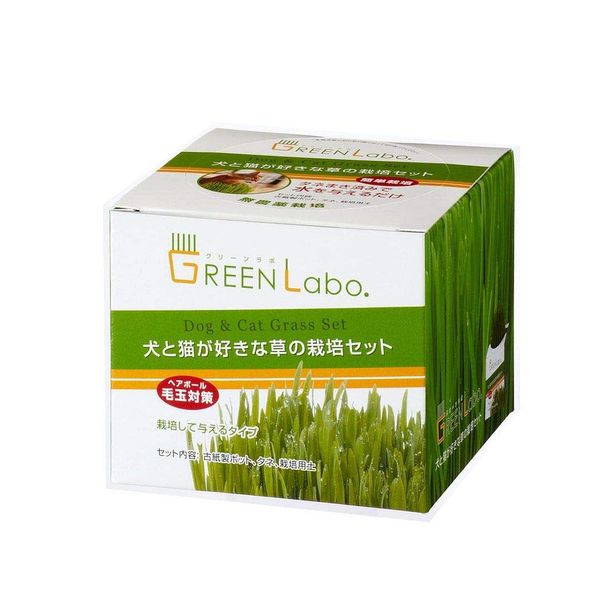 (Bulk Purchase) Aim Creates GEEN Labo Dog & Cat GrassSet (12 x 12)