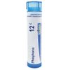 Boiron Phosphorus 12C Homeopathic Medicine for Dizziness - 80 Pellets