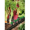 Orbit 67527 58-Piece Drip Irrigation Vegetable Garden Soaker System, Green