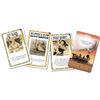 Bang The Great Train Robbery Card Game
