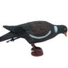 Realistic Plastic Pigeon Full Bodied Decoy (1)