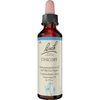 Bach-Blüte Chicory, 20 ml Lösung