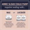 Annie Sloan Chalk Paint 120 ml Rococo White