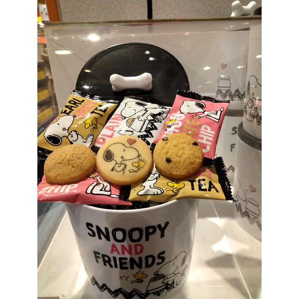 USJ Snoopy Cookie Pot