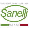 Sanelli 432611 Premana Professional Line Parmesan Cheese Knife, Length-11 cm, Colour, Green