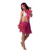 Hawaii Set (5 piece) Assorted Colours (Costume)