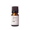 Black Spruce, Essential Oil, Wild Seeds/10ml