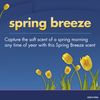 Secret Invisible Solid Antiperspirant & Deodorant - Spring Breeze 75 ml (Pack of 6)