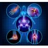 Top Ligament Joint Glucosamine Support MSM Anti-Inflammatory Relief 100 Tablets