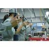 Nihonnnyu-machikku ND5LPX Impact Driver
