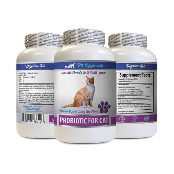 cat Gut Health - CAT PROBIOTICS - Immune Support - Savory Beef Flavor - Natural Formula - cat probiotics Powder - 1 Bottle (60 Treats)