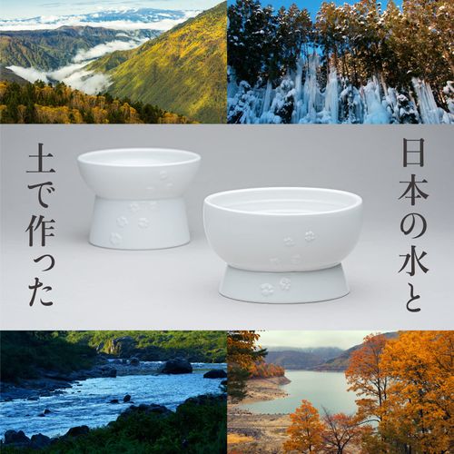 Neko-ichi Bowl with Legs for Cats, Mino Ware, Made in Japan (White, Water)