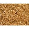 Cole's HM10 Hot Meats Bird Seed, 10-Pound