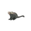 Monkey, Marmoset, Rubber, Realistic Figure Model Replica Toy Gift 2" CH650 BB169