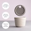 Mason Cash Innovative Kitchen Garlic Store and Grater