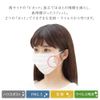 Iris Ohyama 20PN-30PM Disposable Pleated Mask, Regular Size, 30 Pieces x 2 Sets