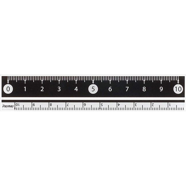 Raymei Fujii APJ128B Ruler, Easy to Read Black and White Ruler, 3.9 inches (10 cm), Black