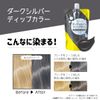 Tottimo! Dip Color: Dark Silver, 17.6 oz (500 g)