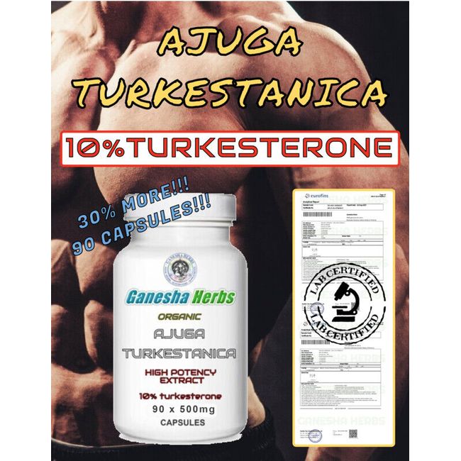 AJUGA TURKESTANICA High Potency  Extract 10%TURKESTERONE 90 Capsules!!