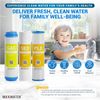 Max Water Whole House Water Filter Replacement Set Pleated + Sediment + GAC