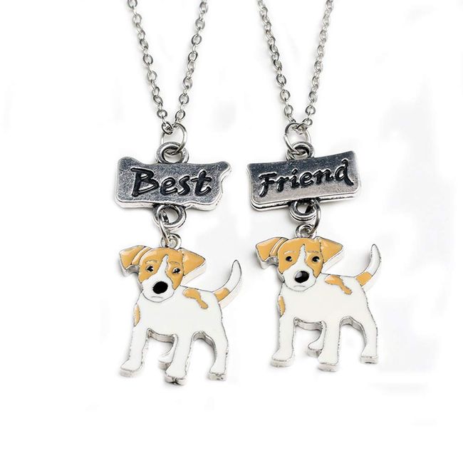 Mummumi Best Friend Necklaces, Friendship Lovely Pet Dogs Pendant Fashion Dogs Set Metal Necklace for Valentine's Day Present Birthday Christmas(Pug,Tidy,Bichon Frise,Schnauzer,Husky)