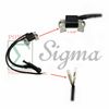 Ignition Coil For Generac Centurion GP5500 GP6500 GP6500E LP5500 389CC Generator
