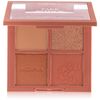Take Notice Face Palette