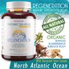 Irish Sea Moss Organic Bladderwrack Burdock Root 120 Capsules - Wildcrafted S...