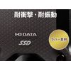 PS4対応 外付けSSD 480GB