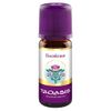 EISENKRAUT Öl Bio 8% in Jojoba Oel Bio