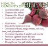 360 Blood Flow + Circulation Support Capsules|Beet Root, Cayenne, Garlic, Ginger