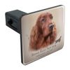 GRAPHICS & MORE Irish Red Setter Dog Breed Tow Trailer Hitch Cover Plug Insert
