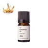Galangal Essential Oil Organic/5ml
