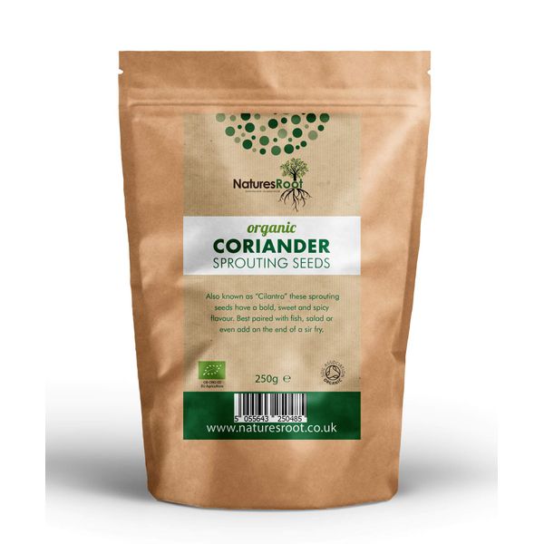 Natures Root Organic Coriander Sprouting Seeds 250g - Cilantro Sprouts | Non GMO | Microgreen Sprouts | Garden Planting | Vegetable Gardening