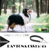 ファープラスト 首輪 デイトナ ハーフチョーク ブラック CSS 15/45