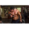 Nitric oxide powder - NITRIC OXIDE 2400MG - immune support capsules - 1 Bottle