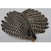 1 Matched Pair Wild Turkey Primary Wings